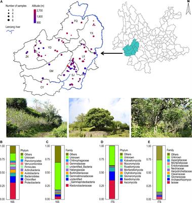 Large-Scale Characterization of the Soil Microbiome in Ancient Tea Plantations Using High-Throughput 16S rRNA and Internal Transcribed Spacer Amplicon Sequencing